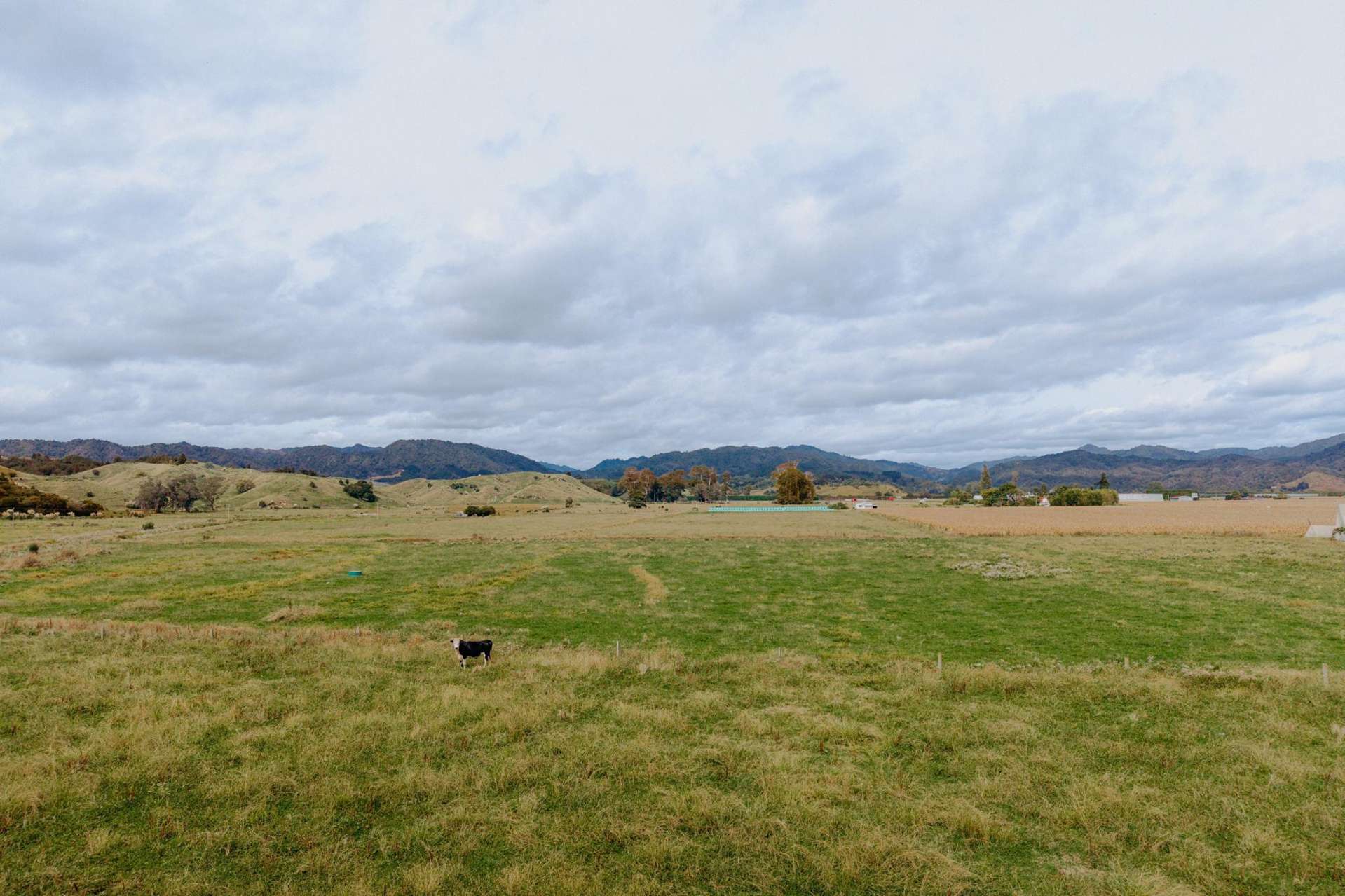 137 Matchitt Road Opotiki Surrounds_0