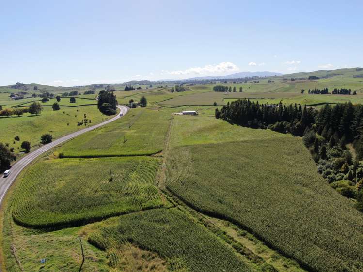 1375 State Highway 3 Otorohanga_8
