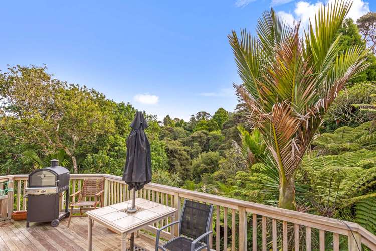 24 Punga Place Whitianga_21