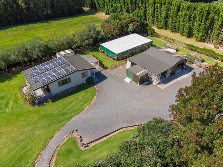 50B Equestrian Drive Kerikeri_29