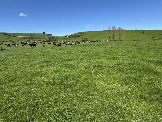 1209 SHWY 3 Otorohanga Road Otorohanga_3