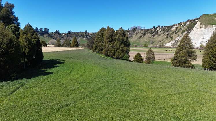 208 Otara Road Ohingaiti_8