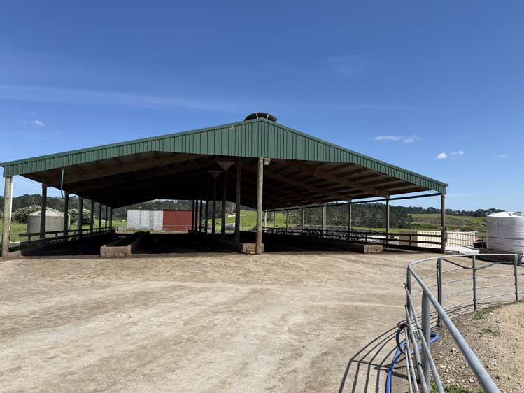 454 West Coast Road Te Kopuru_9