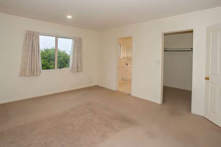 17e Cradock Street Avondale_15