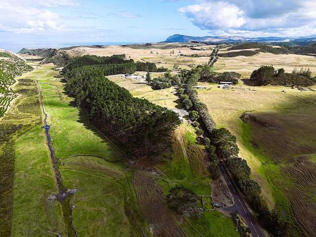 17 Kai Iwi Lakes Road Dargaville_2