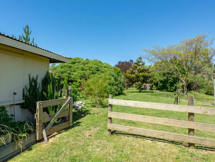 77 Havelock Street Renwick_16