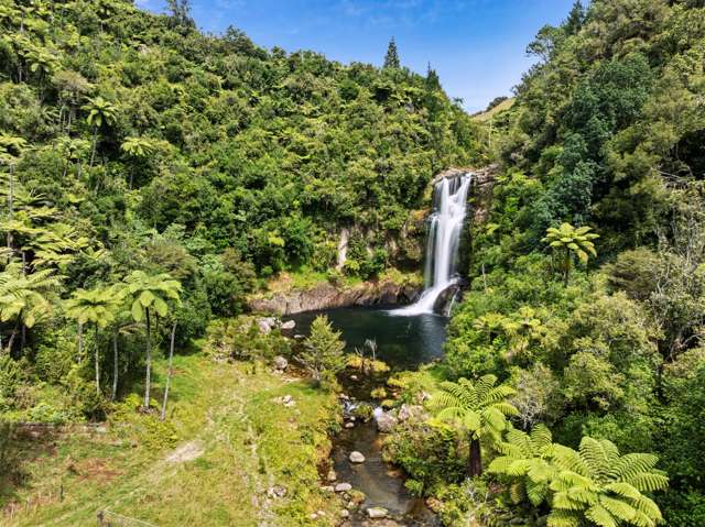 371 Esdaile Road Whakamarama_4