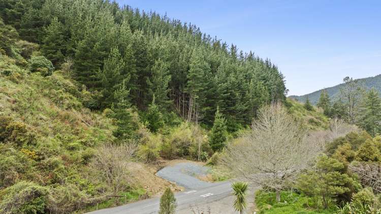 Lot Lot 2/207 Maitai Valley Road Maitai_6