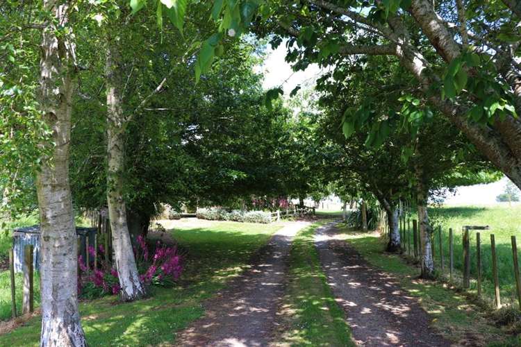 229 Parawera Road Parawera_19