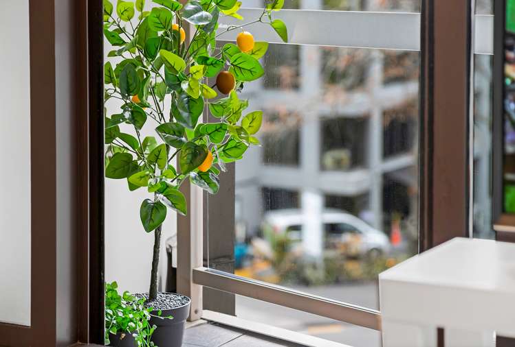 309/96 Symonds Street Grafton_4