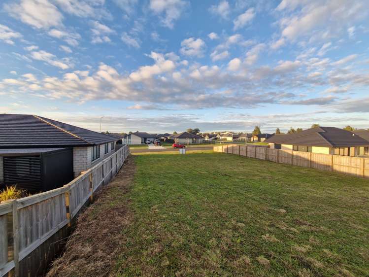 63 Murray Ward Drive Te Kauwhata_11