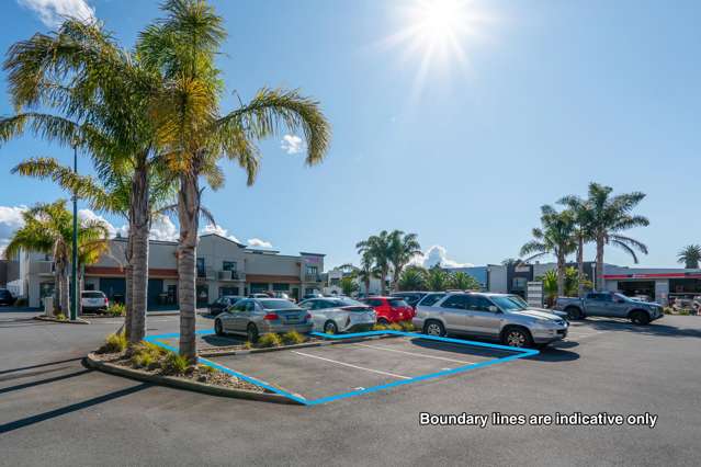 7/325 Ti Rakau Drive East Tamaki_1