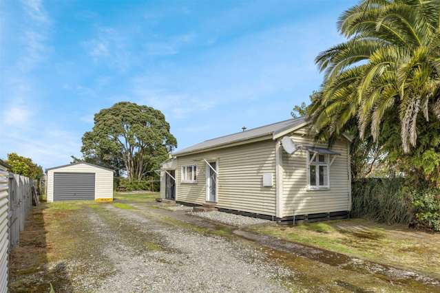 Beach Life in the Buller