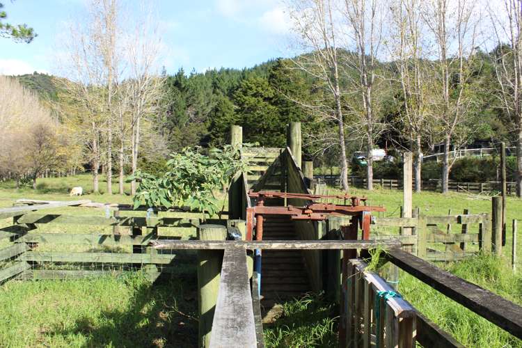 Lot 1 Sawyer Road Mangonui_8