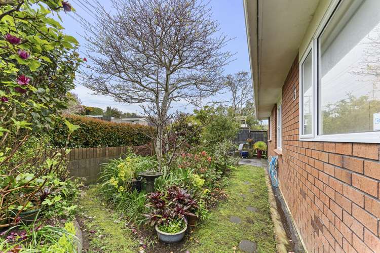 8 Burns Street Westown_11