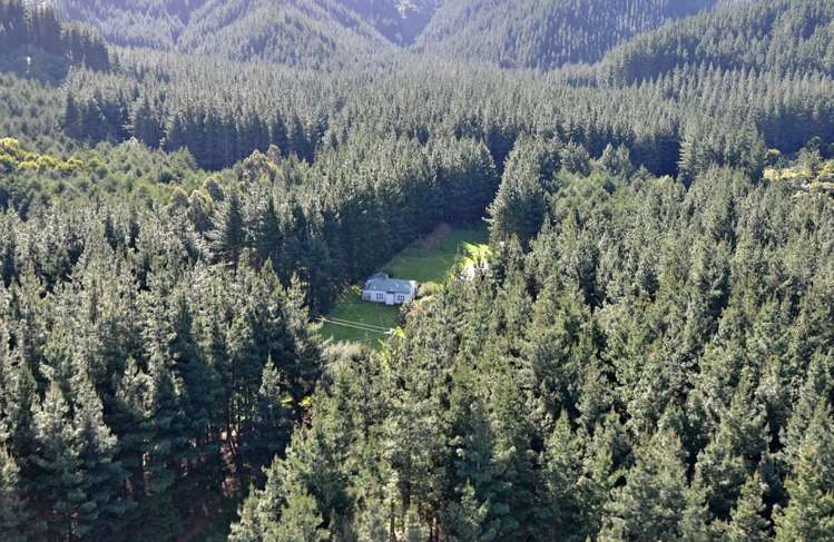 465 Tumbledown Bay Road Port Underwood_15