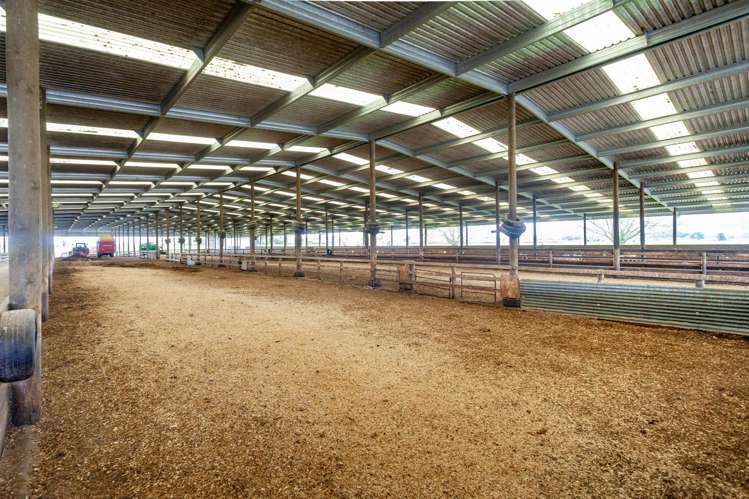 McKinley Road Te Aroha_21