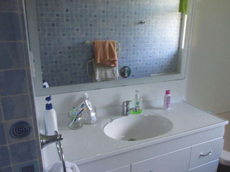 8 Elizabeth Street Putaruru_10