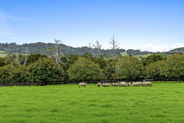 23 Rosemount Road Matakana Coast_2