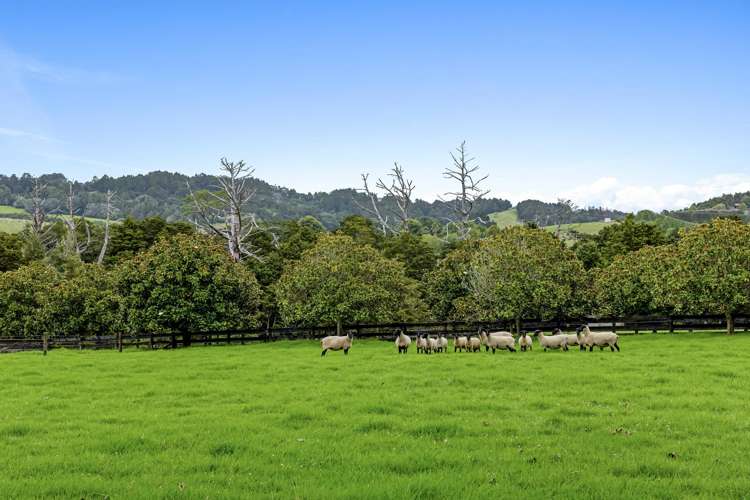 23 Rosemount Road Matakana Coast_1