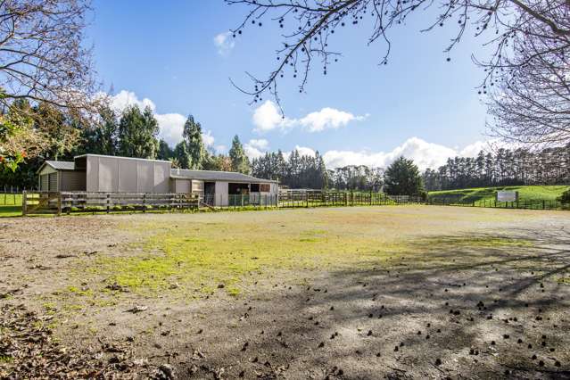 25b Youngson Road Whakamarama_4