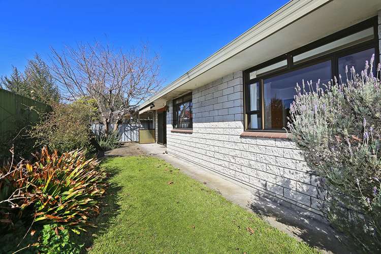 511a Cornwall Road Mahora_14