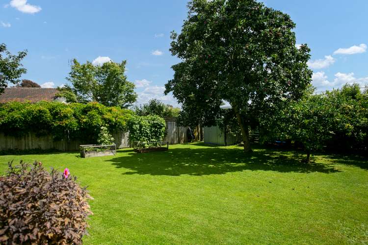 3 Sargeson Place Leamington_17