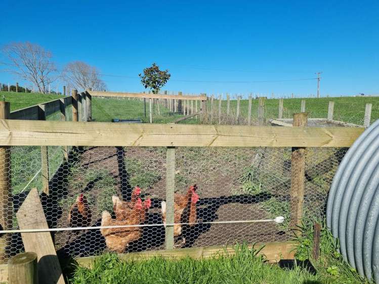 1716 Miranda Road Mangatangi_12