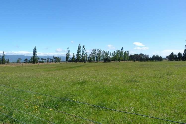 460 Wards Line Greytown_16