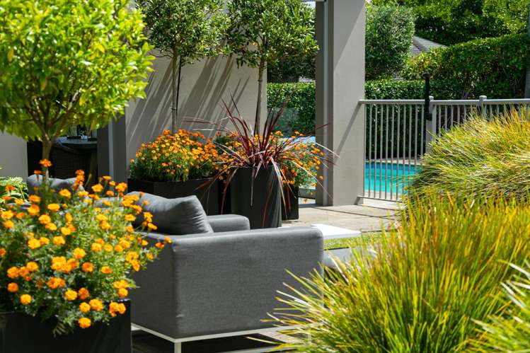 35 Pounamu Avenue Greenhithe_32