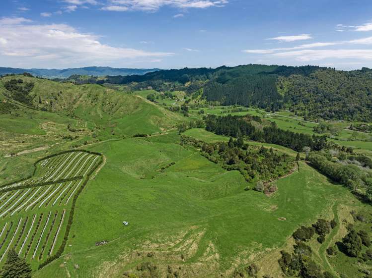 2338 State Highway 2 Opotiki_0