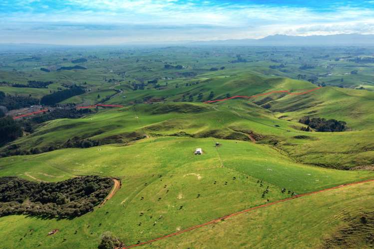 613 Waterworks Road Morrinsville_1