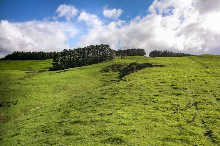 2511 Kopu Hikuai Sh25a Road Hikuai_7