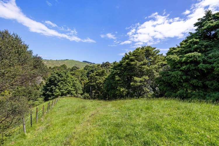 Te Akau Coast Road Te Akau_23