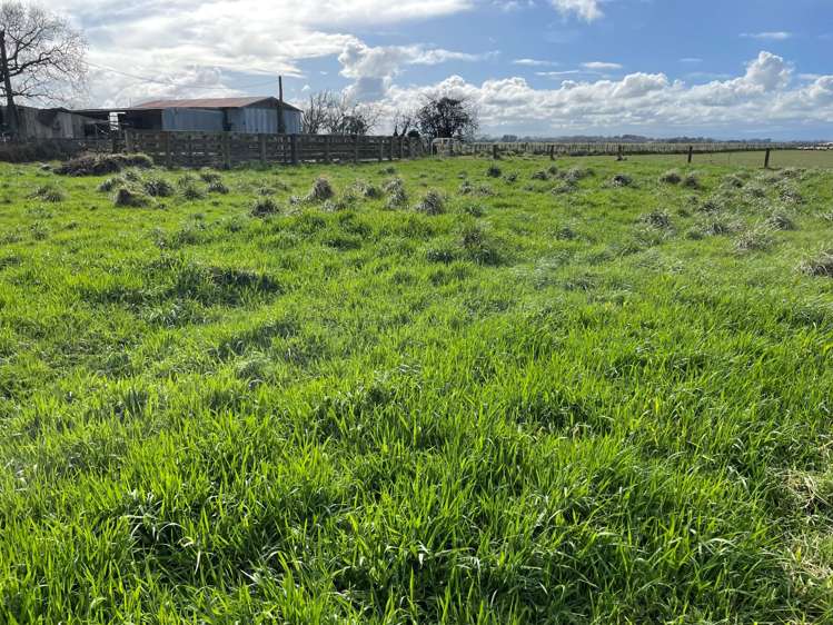 279 Karere Road Tiakitahuna_12