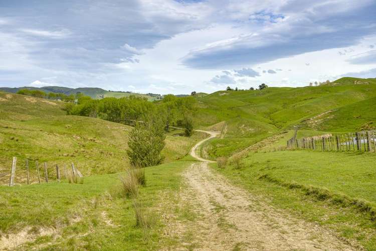 139 Clareinch Road Omakere_29