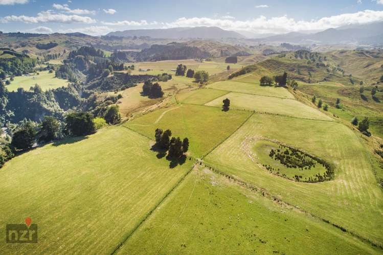 3769 Pohangina Valley East Road Apiti_7