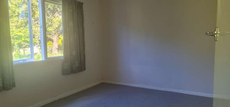 120 Mangamate Road Murupara Surrounds_14