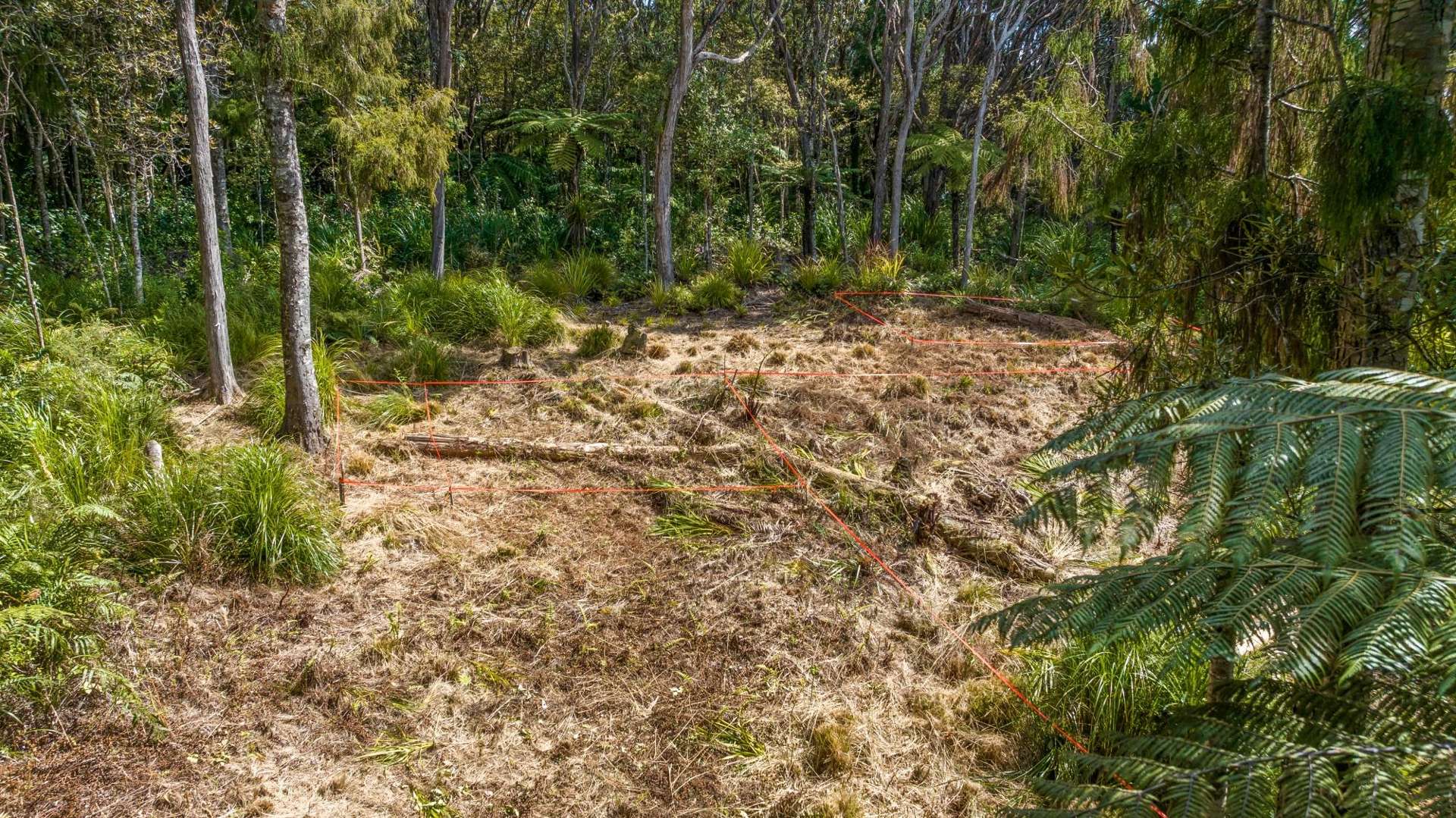 252 Piha Road Piha_0