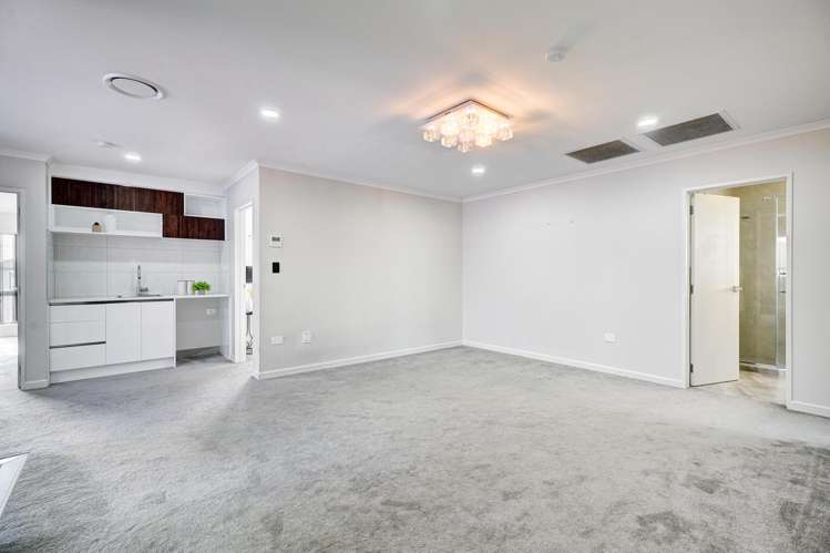 61 Tir Conaill Avenue Flat Bush_33