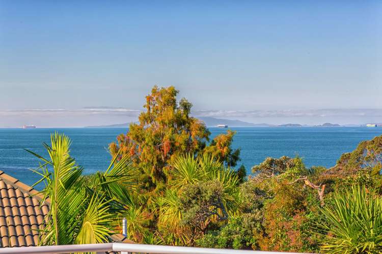 19a Scarboro Terrace Murrays Bay_20