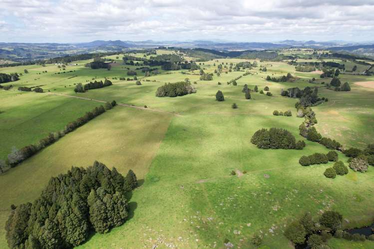 503 Puhipuhi Road Whakapara_38