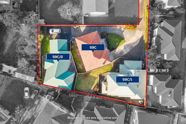 59C Hillsborough Road Hillsborough_3