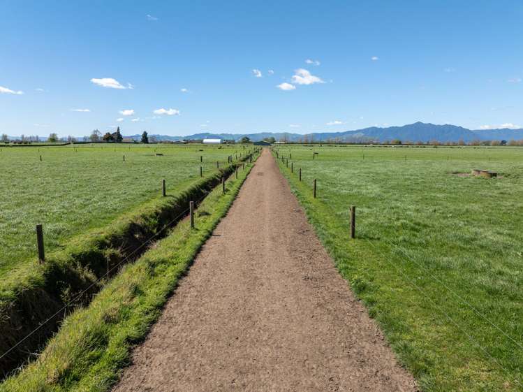 64 No 4 Road Morrinsville_13
