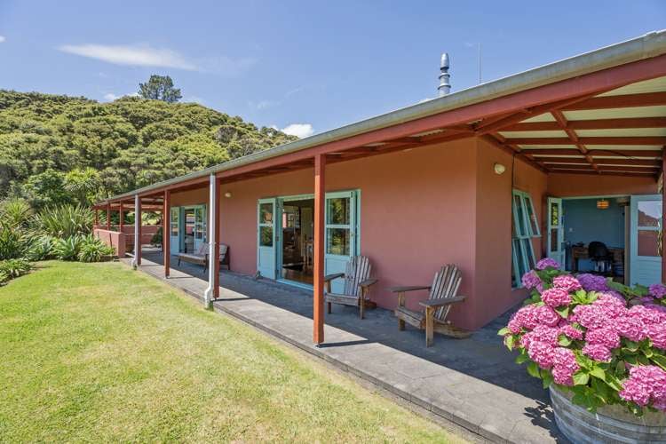 206 Colville Road Coromandel_17