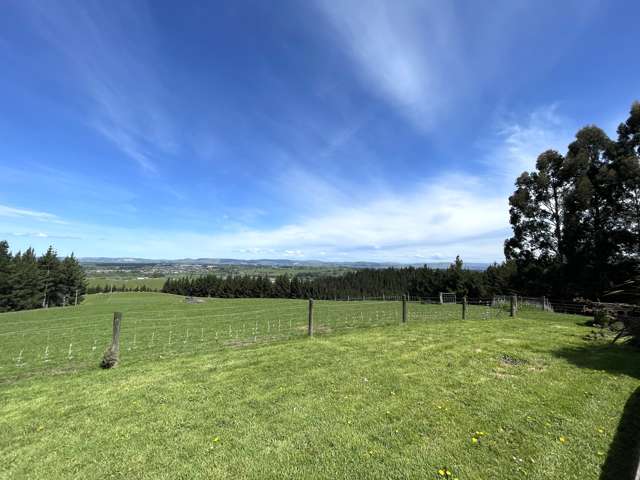 205 Sunflower Road Balclutha_1