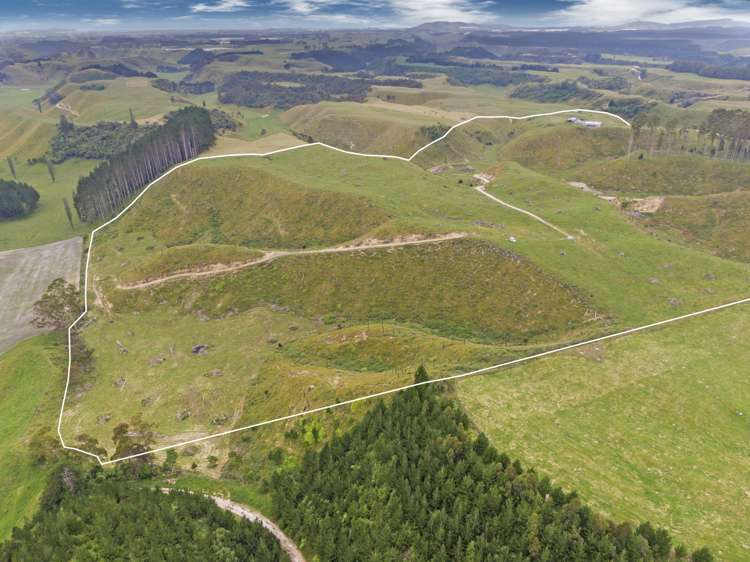 1300 Pongakawa Bush Road Pongakawa_22