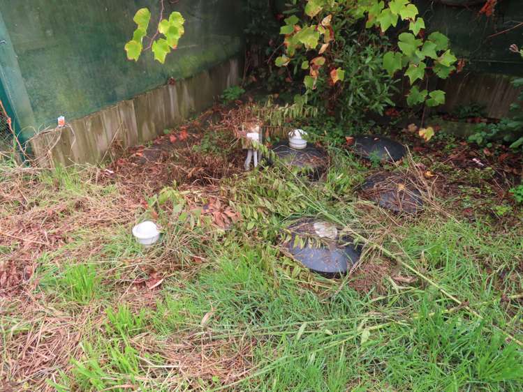 25 Beckett Lane Dannevirke_15