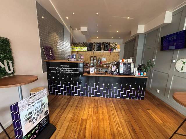 133 Jackson Street Petone_4