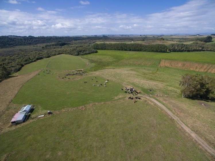 137 Sanson Road Ruawaro_29